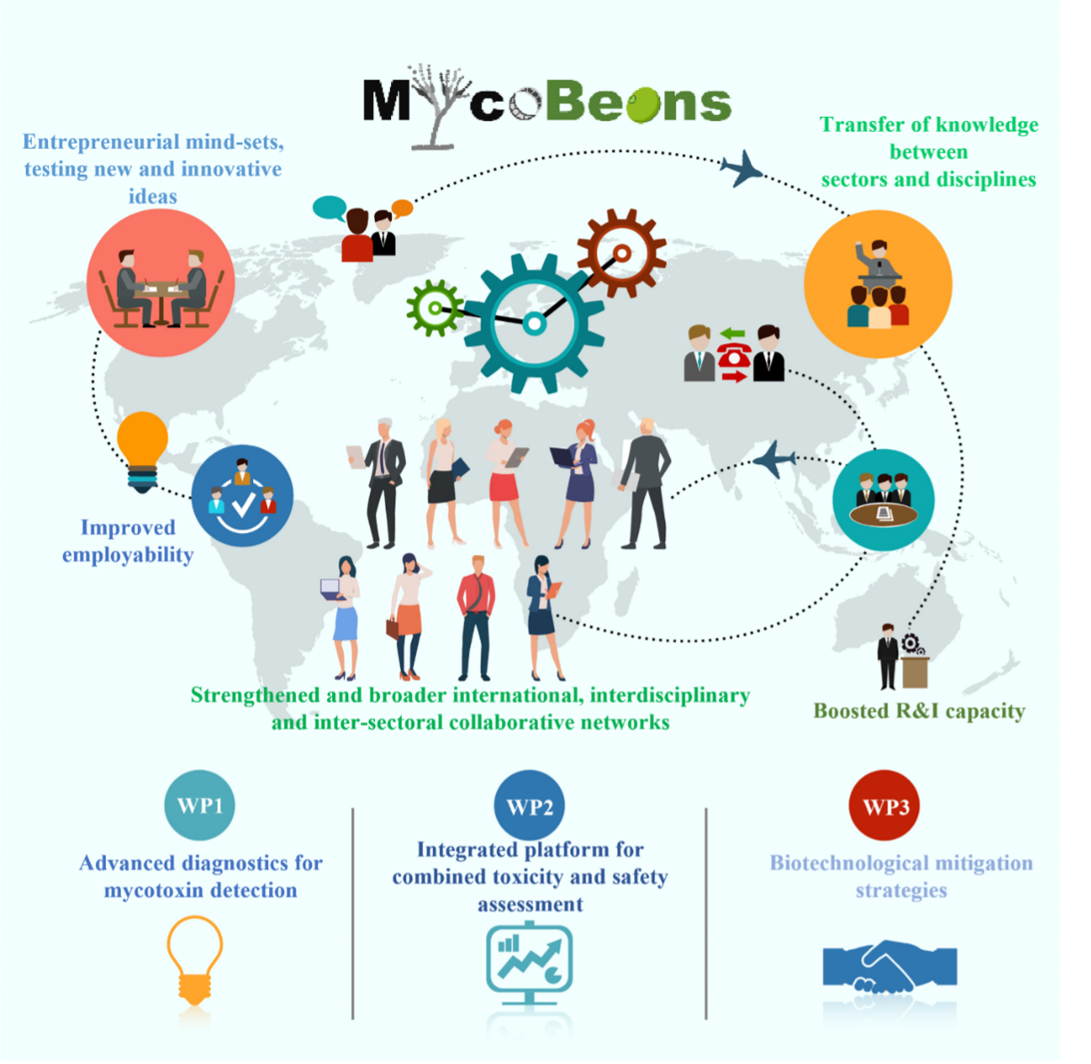 Work packages overview